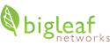 bigleaf